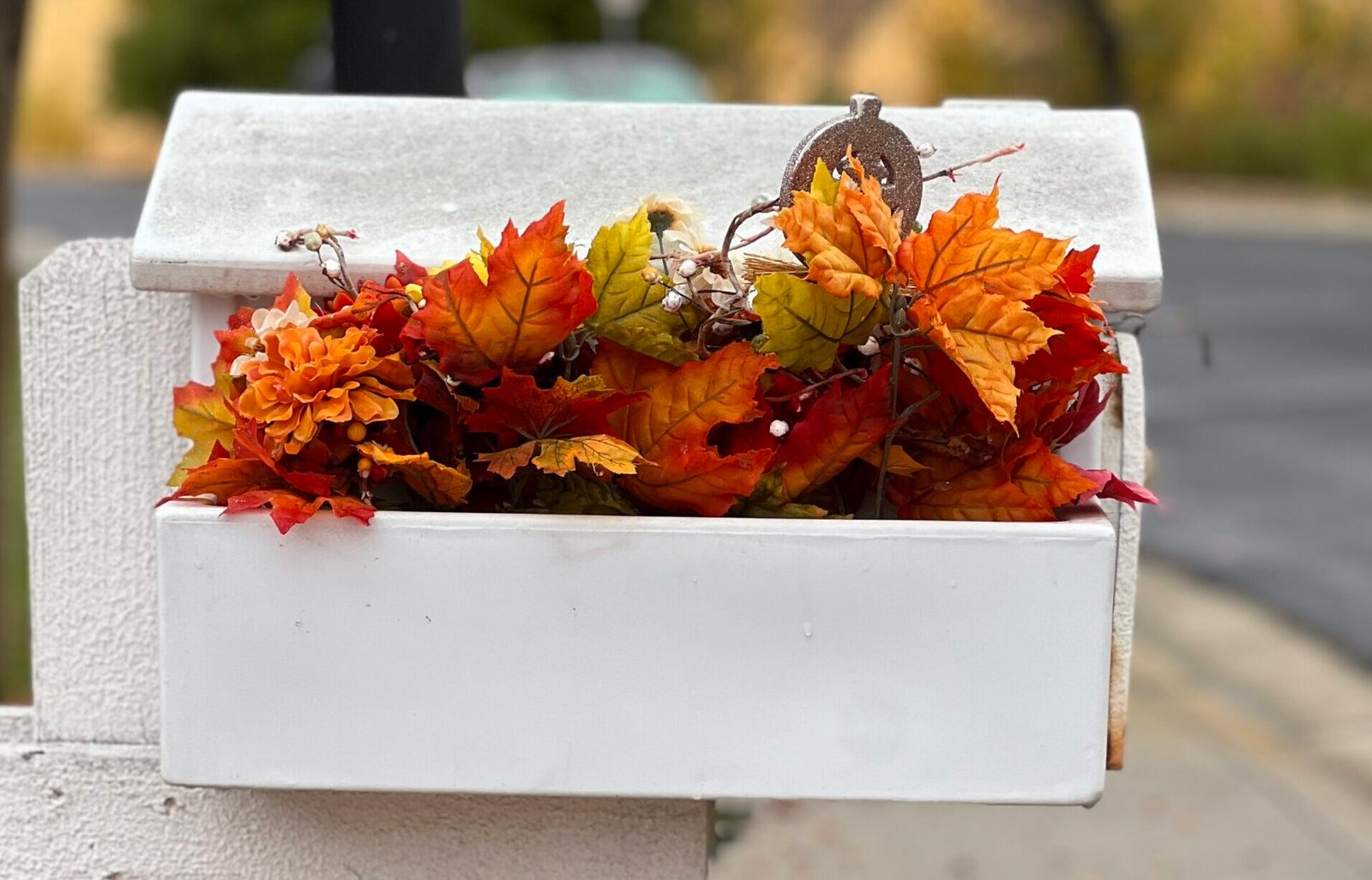 Autumn leaves peaking out of white mailbox